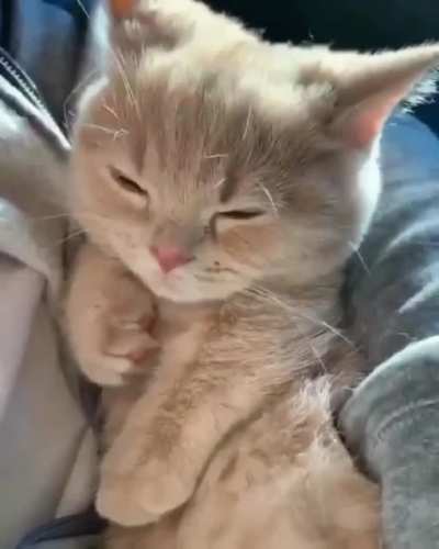 Simply adorable.