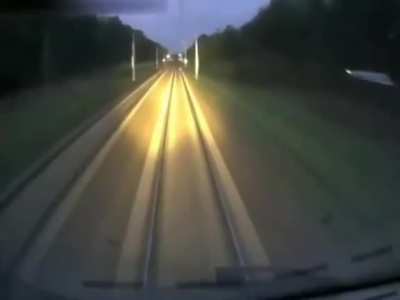 I fucking hate deer