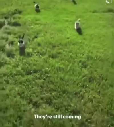 They&rsquo;re coming after me!