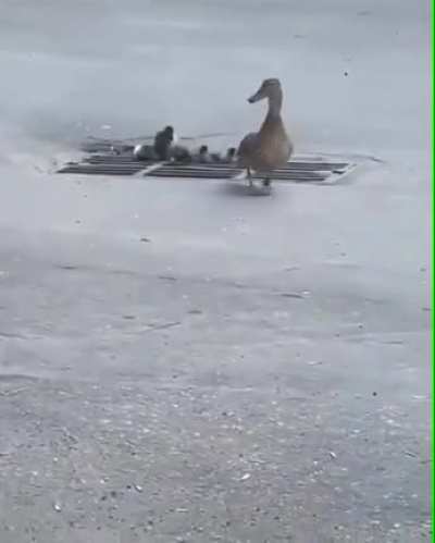Following mom