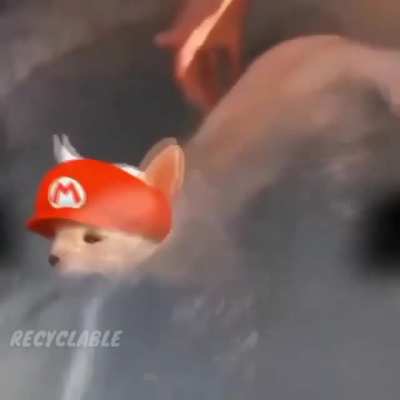 Oh no