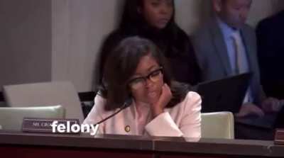 During a House Panel hearing with ‘sanctuary city’ mayors, Rep. Jasmine Crockett (D) asks the mayors if there are any immigrants with 34 felony convictions roaming in their cities, as that ‘could be a danger to the community’