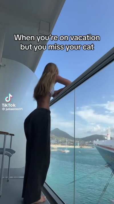 bella poarch deleted tiktok poking fun at julia ernst&rsquo;s body checking; julia ernst deleted comment denying body checking a month prior