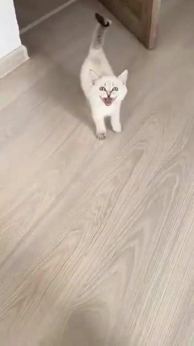 When daddy is home.