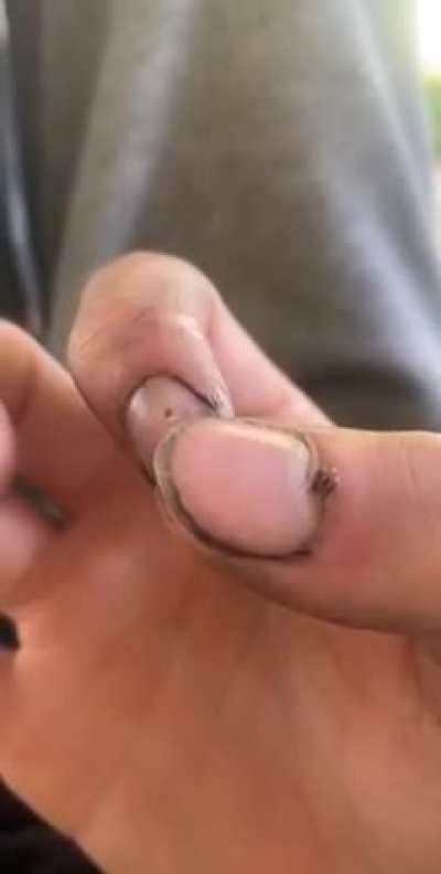 Finger hole