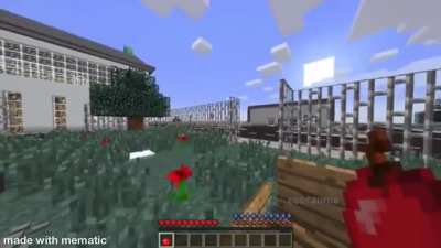 MAAU - Video #9239
