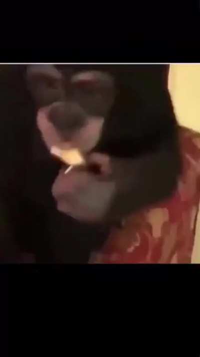 Weed subreddit doesn&rsquo;t allow me to post vids