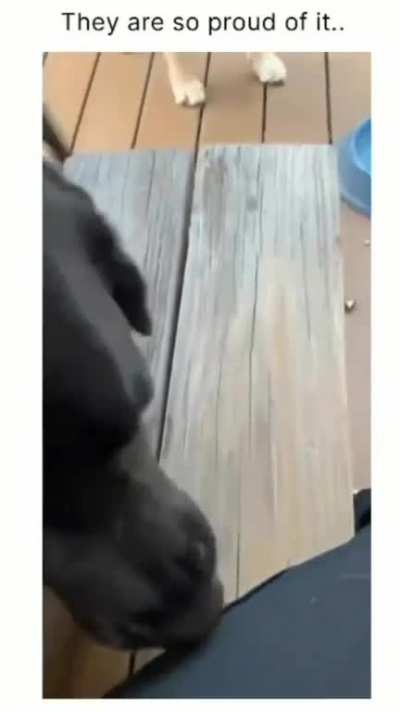 mommy let's play