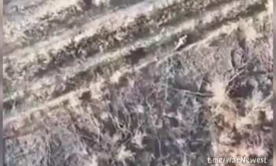 Russian Soldiers stepping on Landmines (Compilation) 
