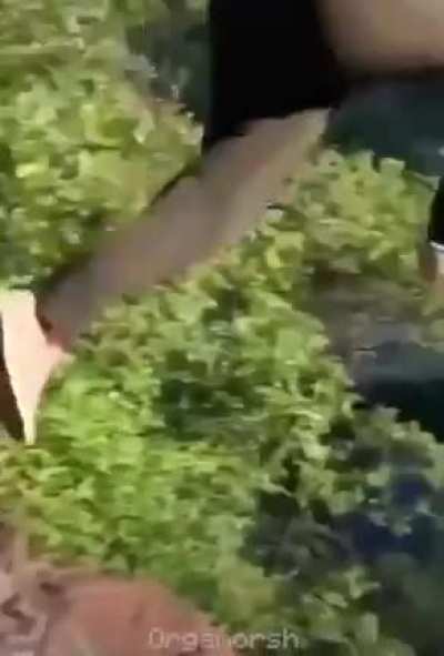 Void.mp4