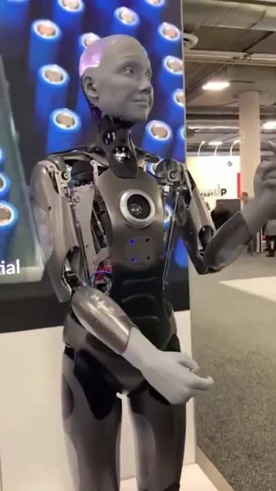 The sassy terminator roasting you