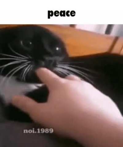 peace