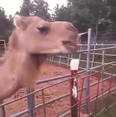 No selfies, please...
