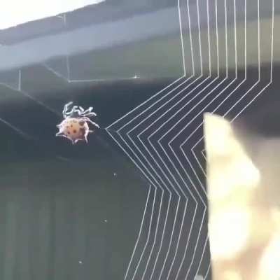 🔥 This is gonna take some time