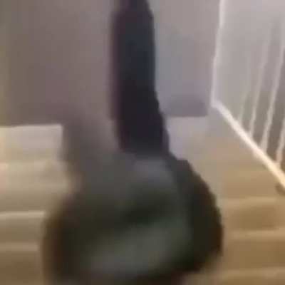SKRT SKRT SKRT