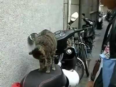 What? I have moved.