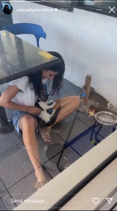 Cassady Petting Cat IG Video
