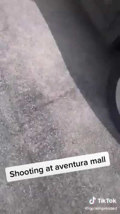 Shoppers run for cover as shots ring out at Aventura Mall