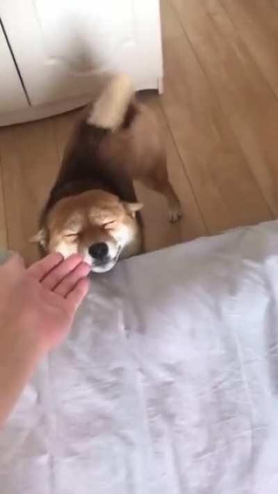 Eyes won&rsquo;t open; too happy