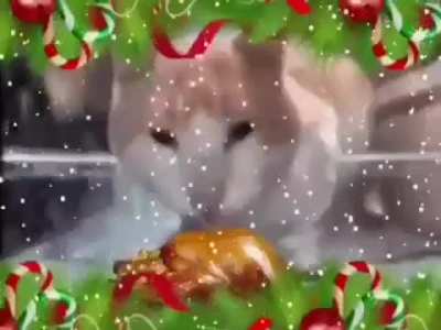 Feliz navidad hijos de la &ntilde;onga, y que chingue su madre ese pendejo llamado Mauu