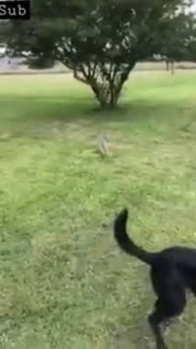 Rookie mistake