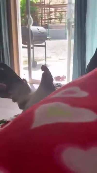 Your wake up call service is here now