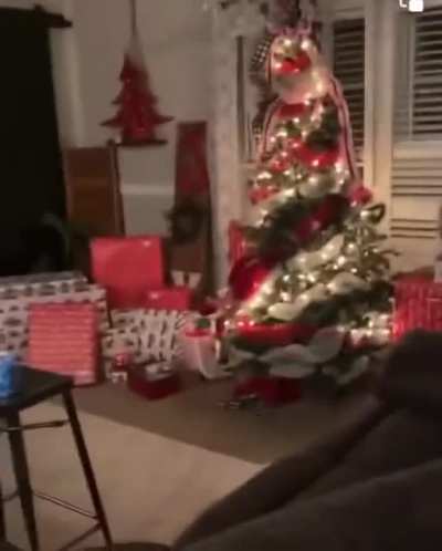Grinch Stealing Christmas Tree