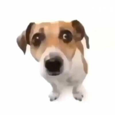 Don't tell