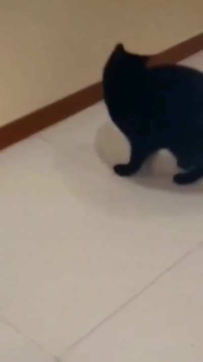 to catch Jerry.