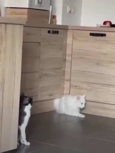 Absolutely boneless