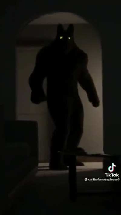 Furry