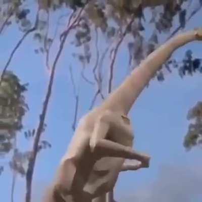 bem vindo ao jura&ccedil;iki parki