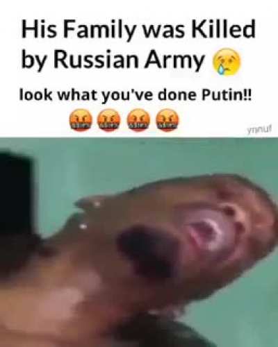 Putin :(