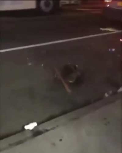 Ne istediniz hayvandan anasını siktimin çocukları