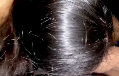 Nightly head