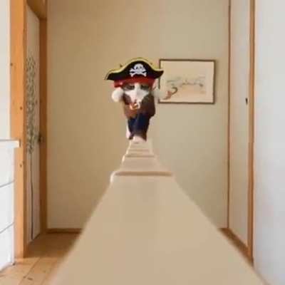 AHOY!