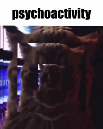 🦭🦭🦭