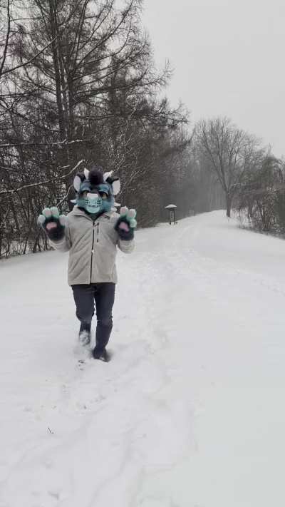 Braving the snow yesterday