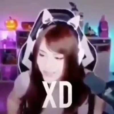 XD