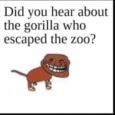 gorilla jioke