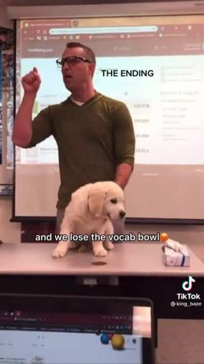 Bucking Vocab