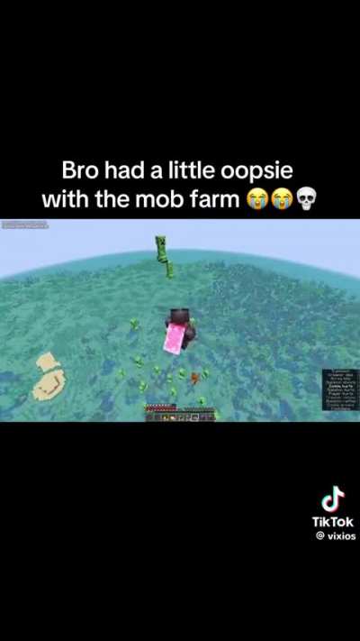 Bro indeed had made a little oopsie with the mob farm 😭😭💀
