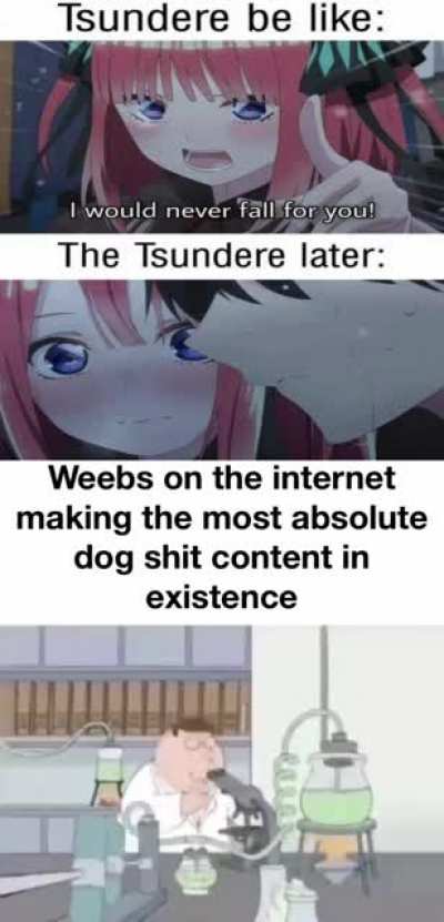 I hate anime fans