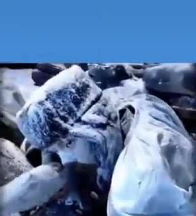 什么兵马俑