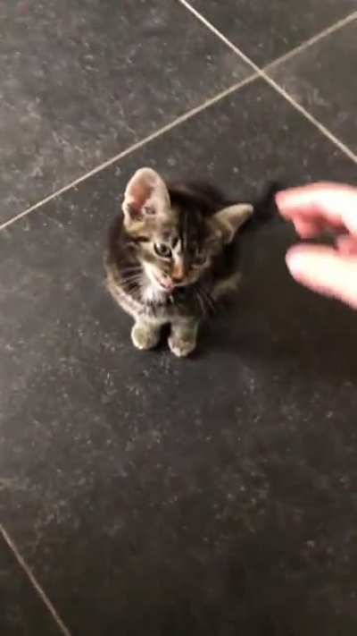 Heard some &lsquo;yelling&rsquo; behind me