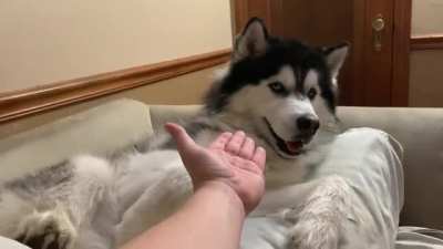Maybe Maybe Maybe