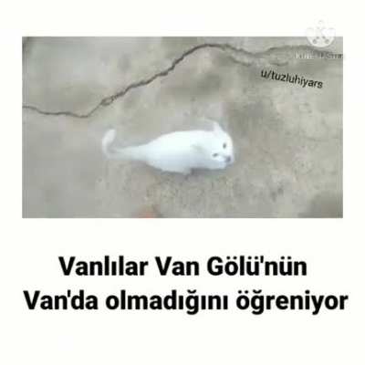 Hmmm ğ&oslash;ttə&ntilde; &szlig;əx