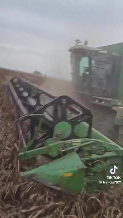 Basado cosechando