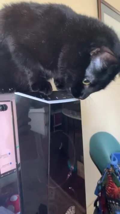 Bruce does want my phone to charge, so I guess I&rsquo;m not charging it