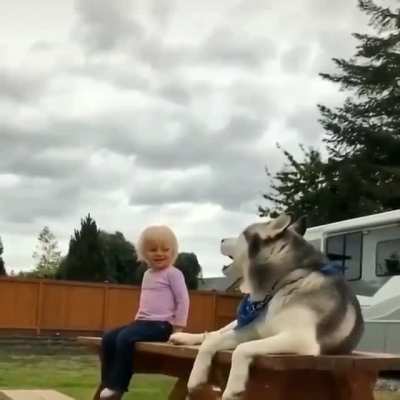Kid and husky, the worst combo